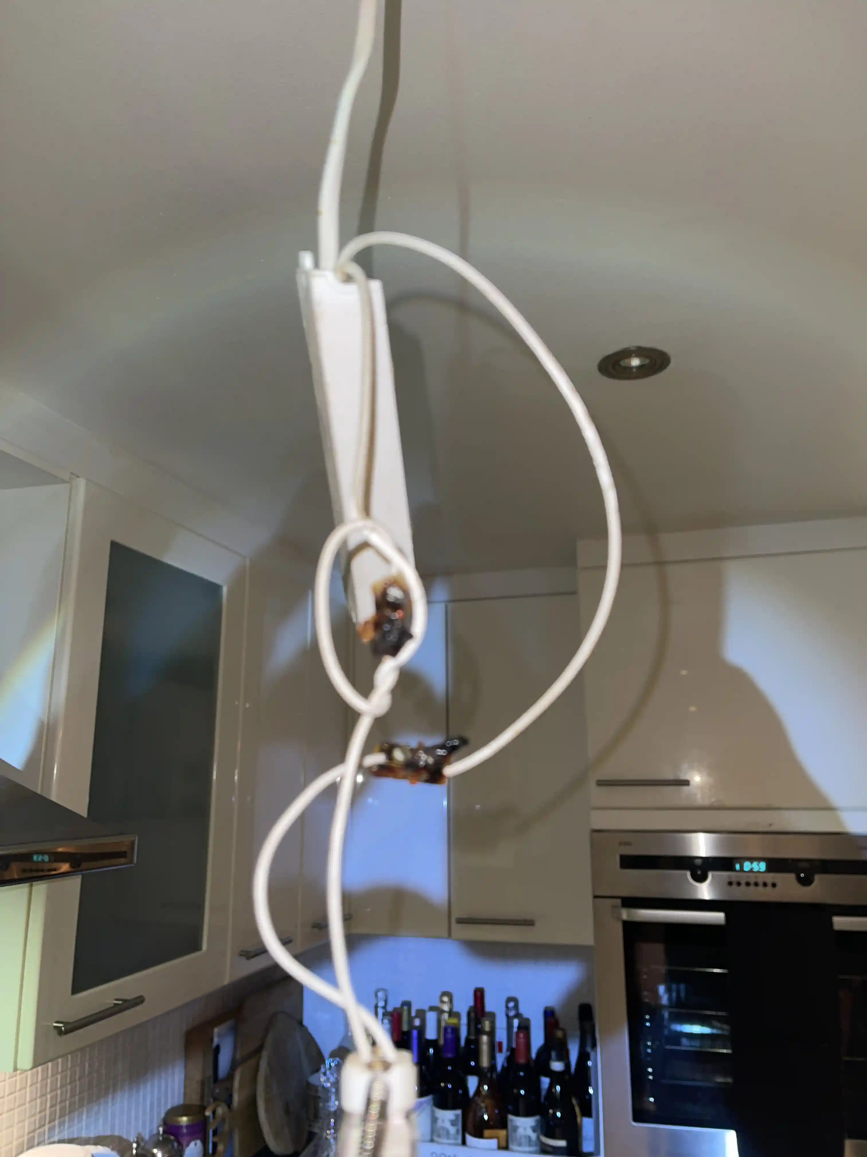 Transmission lines Services